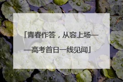 青春作答，从容上场——高考首日一线见闻