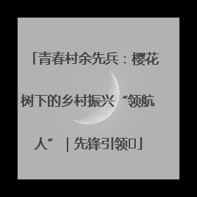 青春村余先兵：樱花树下的乡村振兴“领航人”｜先锋引领⑪