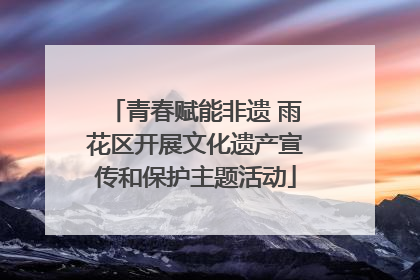 青春赋能非遗 雨花区开展文化遗产宣传和保护主题活动