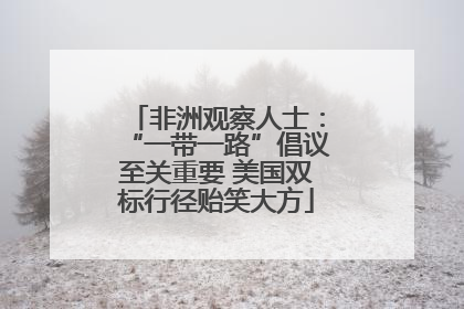 非洲观察人士：“一带一路”倡议至关重要 美国双标行径贻笑大方