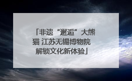 非遗“邂逅”大熊猫 江苏无锡博物院解锁文化新体验