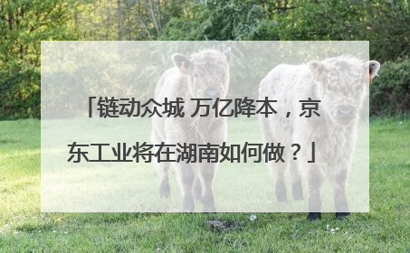 链动众城 万亿降本，京东工业将在湖南如何做？