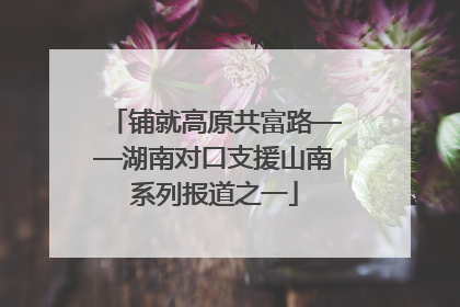 铺就高原共富路——湖南对口支援山南系列报道之一