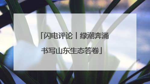 闪电评论丨绿潮奔涌 书写山东生态答卷