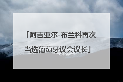 阿吉亚尔-布兰科再次当选葡萄牙议会议长