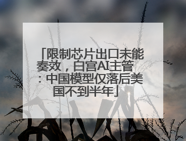 限制芯片出口未能奏效，白宫AI主管：中国模型仅落后美国不到半年