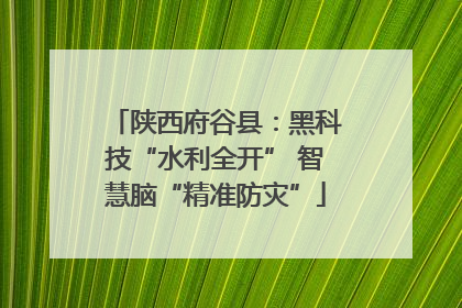 陕西府谷县：黑科技“水利全开” 智慧脑“精准防灾”