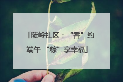 陡岭社区：“香”约端午 “粽”享幸福