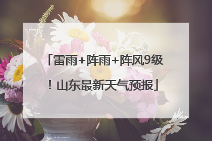 雷雨+阵雨+阵风9级！山东最新天气预报