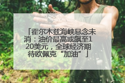霍尔木兹海峡悬念未消：油价最高或飙至120美元，全球经济期待欧佩克“加油”