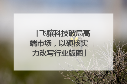 飞骧科技破局高端市场，以硬核实力改写行业版图