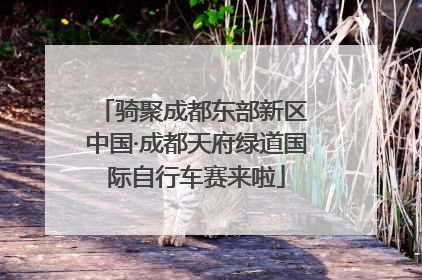 骑聚成都东部新区 中国·成都天府绿道国际自行车赛来啦