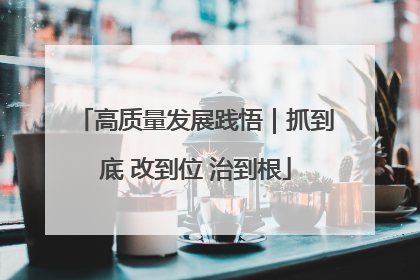 高质量发展践悟｜抓到底 改到位 治到根
