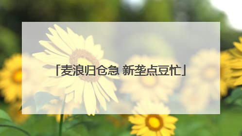 麦浪归仓急 新垄点豆忙