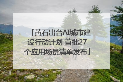 黄石出台AI城市建设行动计划 首批27个应用场景清单发布