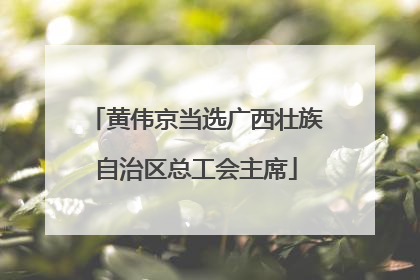 黄伟京当选广西壮族自治区总工会主席
