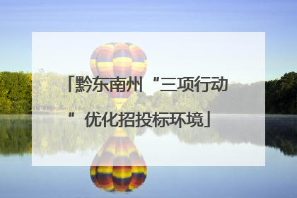 黔东南州“三项行动”优化招投标环境