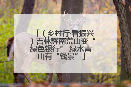 （乡村行·看振兴）吉林辉南荒山变“绿色银行” 绿水青山有“钱景”