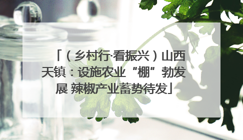 （乡村行·看振兴）山西天镇：设施农业“棚”勃发展 辣椒产业蓄势待发