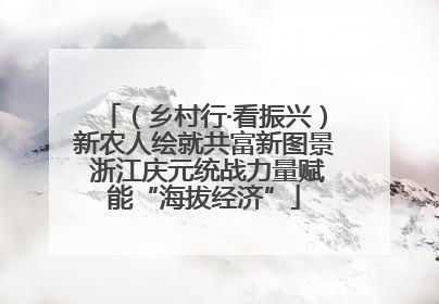 （乡村行·看振兴）新农人绘就共富新图景 浙江庆元统战力量赋能“海拔经济”