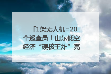 1架无人机=20个巡查员！山东低空经济“硬核王炸”亮相青岛，下一个万亿赛道藏在这里