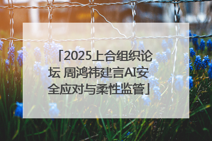 2025上合组织论坛 周鸿祎建言AI安全应对与柔性监管