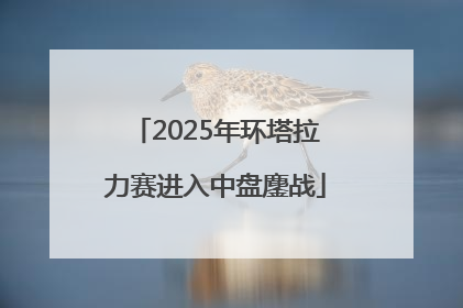 2025年环塔拉力赛进入中盘鏖战
