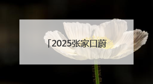 2025张家口蔚县马拉松激情开赛