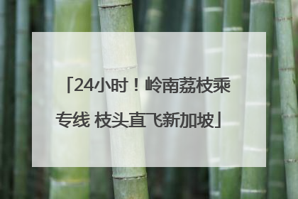 24小时！岭南荔枝乘专线 枝头直飞新加坡