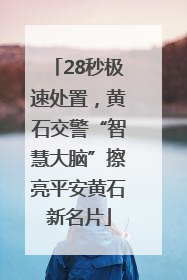 28秒极速处置，黄石交警“智慧大脑”擦亮平安黄石新名片