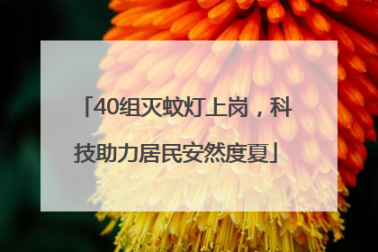 40组灭蚊灯上岗，科技助力居民安然度夏