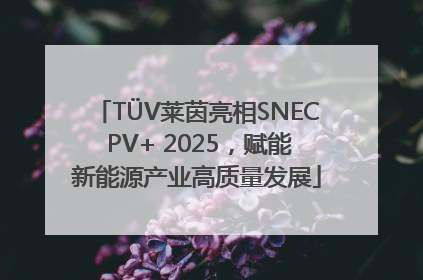 TÜV莱茵亮相SNEC PV+ 2025，赋能新能源产业高质量发展