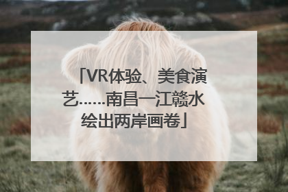 VR体验、美食演艺……南昌一江赣水绘出两岸画卷